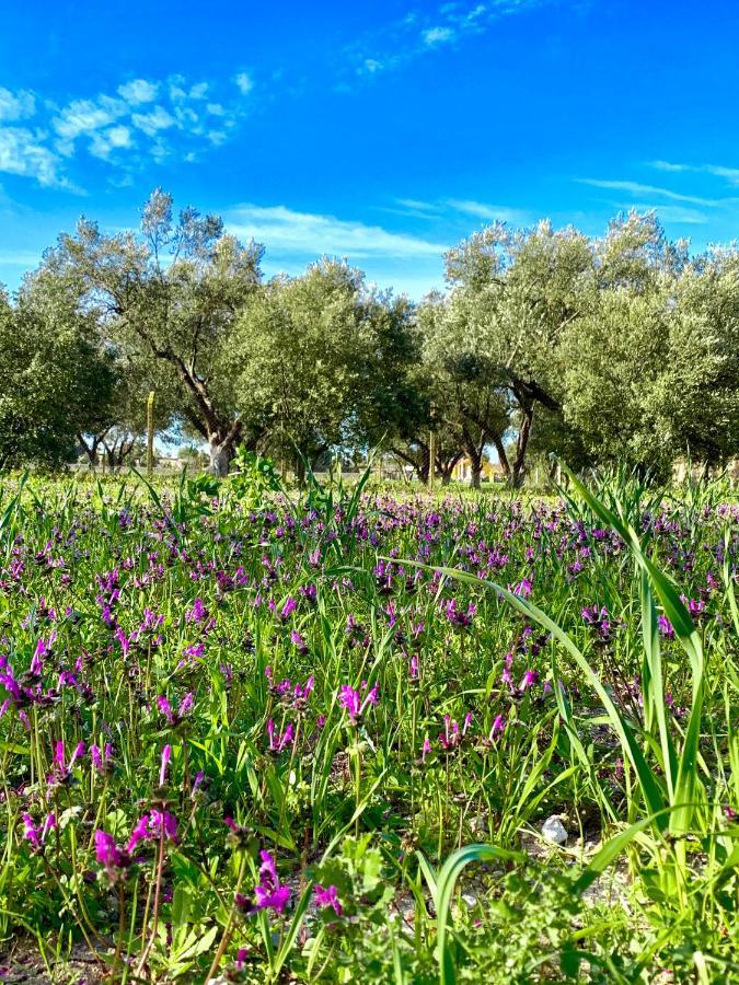 Çeşme Alacati Barbarossa Hotel المظهر الخارجي الصورة