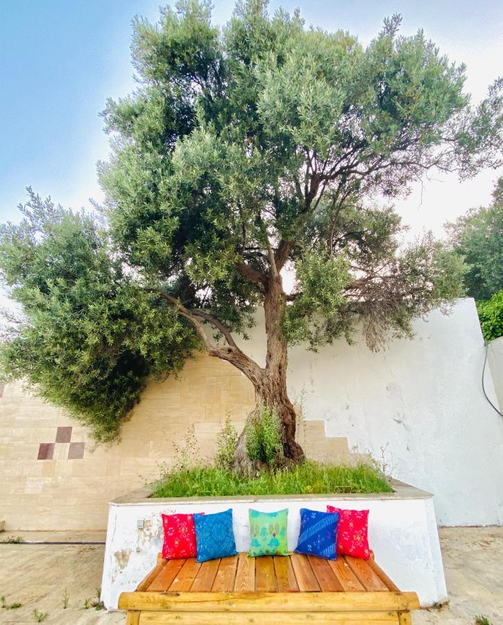 Alacati Barbarossa Hotel Çeşme المظهر الخارجي الصورة